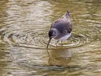 O]墈珿w0┬3E?鹬]H}溍豤榽俧6顧?倚?E,?隭??>"??唃@6硫!id嫰4B?隺梜LnＹ硉???3蹉v碑√姝UJ0洷的简单介绍-多宝娱乐网站